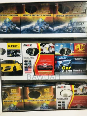 Car Alarm Systems
