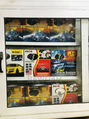 Car Alarm Systems