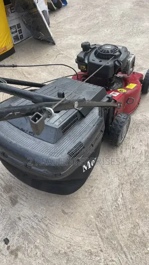Mountfield SP185 Is a Self-Propelled Petrol Rotary Lawnmower