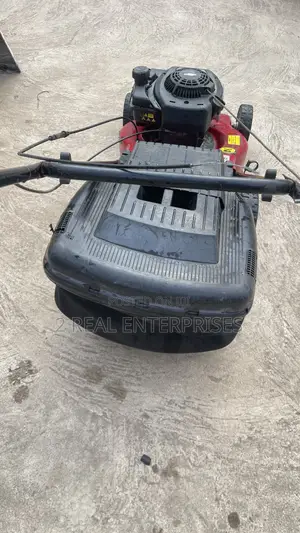 Mountfield SP185 Is a Self-Propelled Petrol Rotary Lawnmower