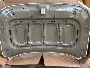 Hyundai Santa Fe 2019-2023 Hood/Bonnet