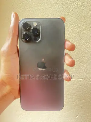 Apple iPhone 12 Pro Max 512 GB Gray