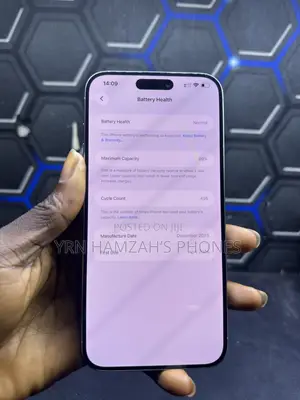 Apple iPhone 15 Pro Max 256 GB Gray