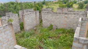 One Plot of Land With a 2-Bedroom Uncompleted Project at Ayikuma