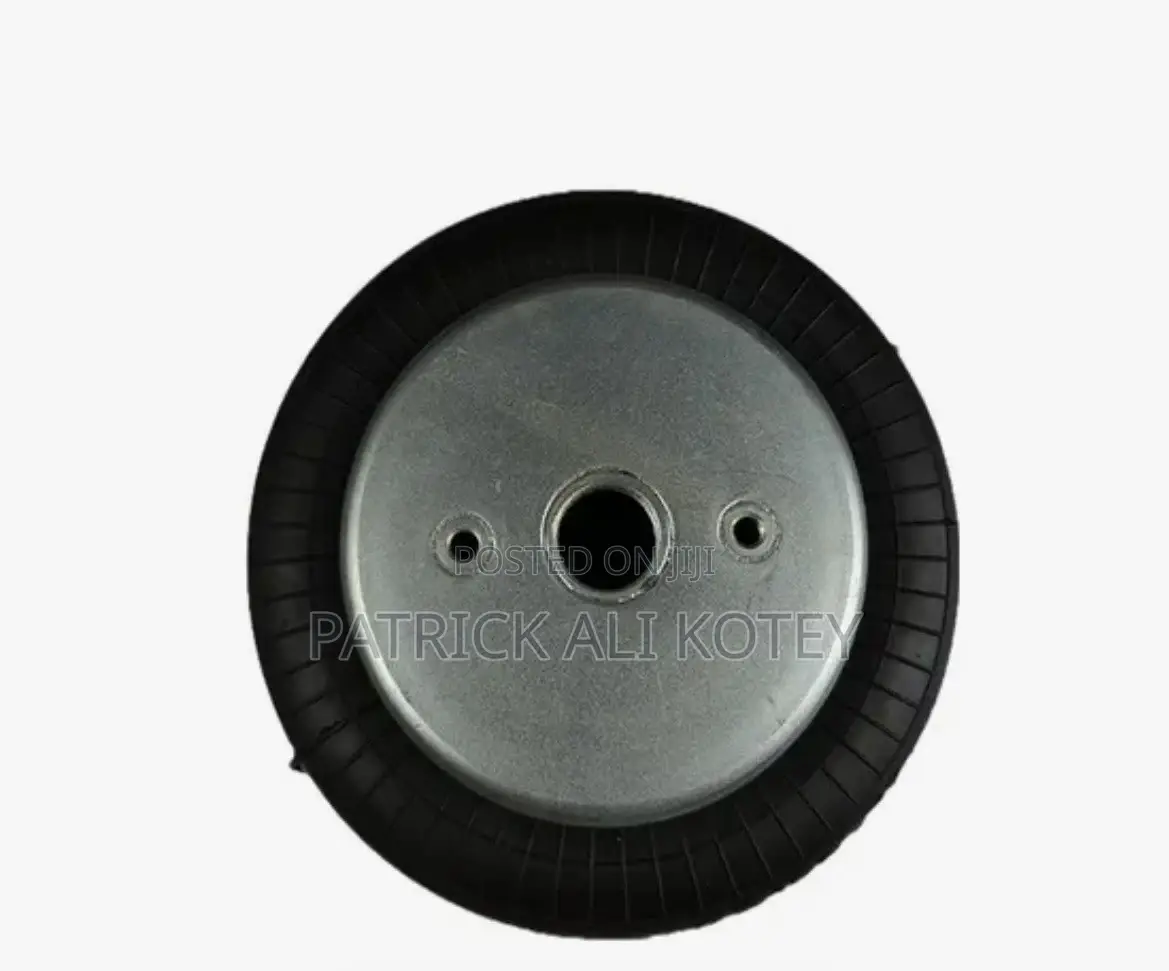 Air Suspension Spring Bag