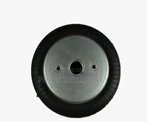 Air Suspension Spring Bag