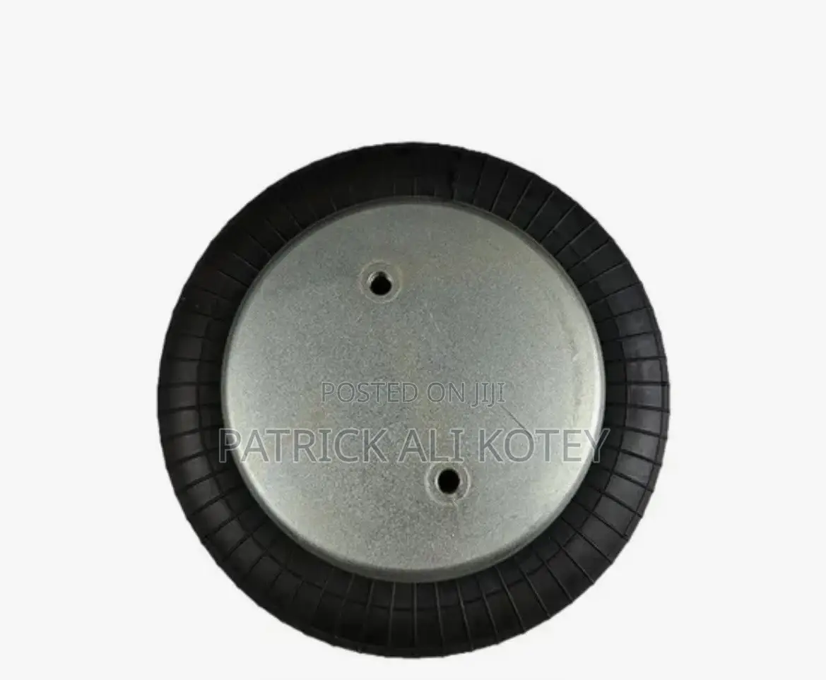 Air Suspension Spring Bag