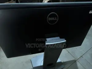 Dell 29” Monitor