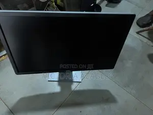 Dell 29” Monitor