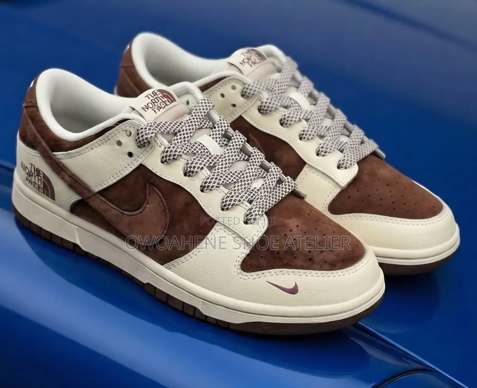 Nike SB Dunk Low X the North Face Sneakers
