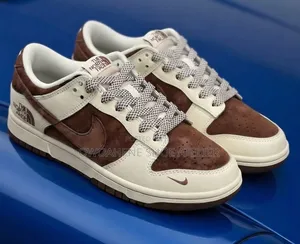 Nike SB Dunk Low X the North Face Sneakers