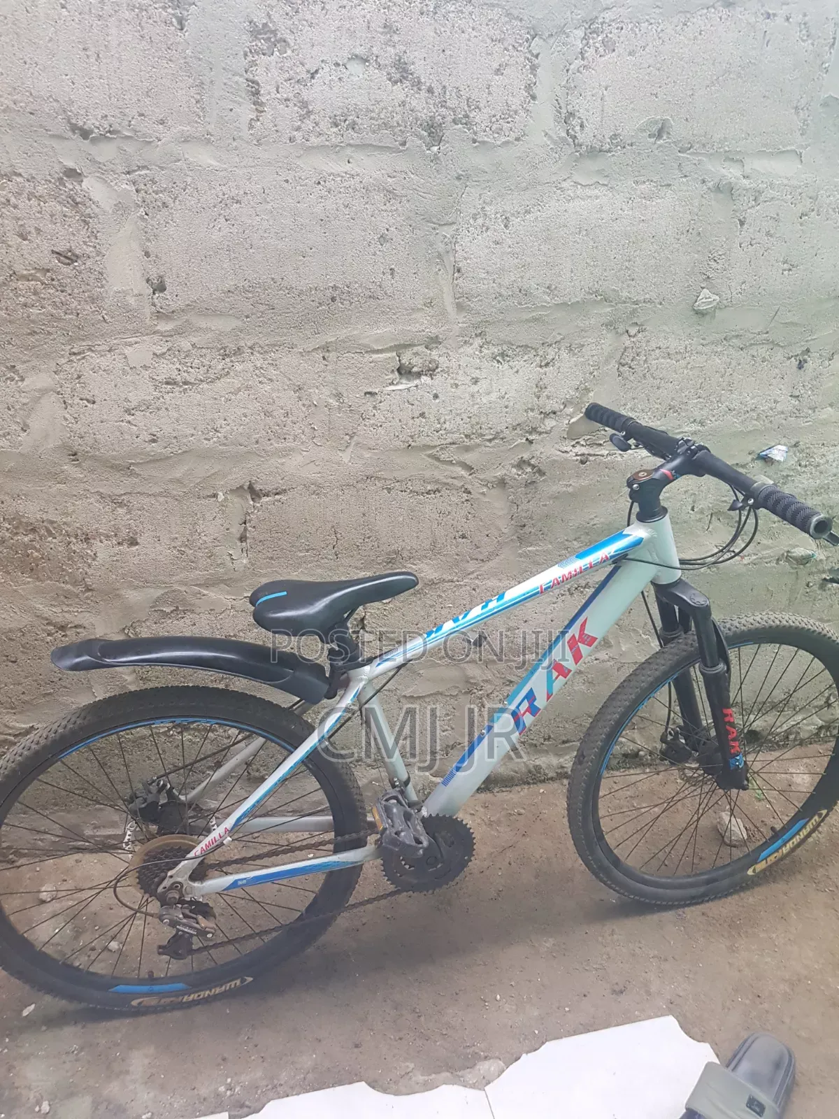 Mountain Bike