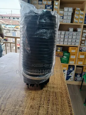 Dodge RAM 2020 Back Balloon Shock