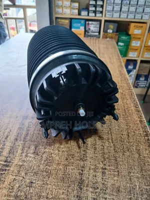 Dodge RAM 2020 Back Balloon Shock