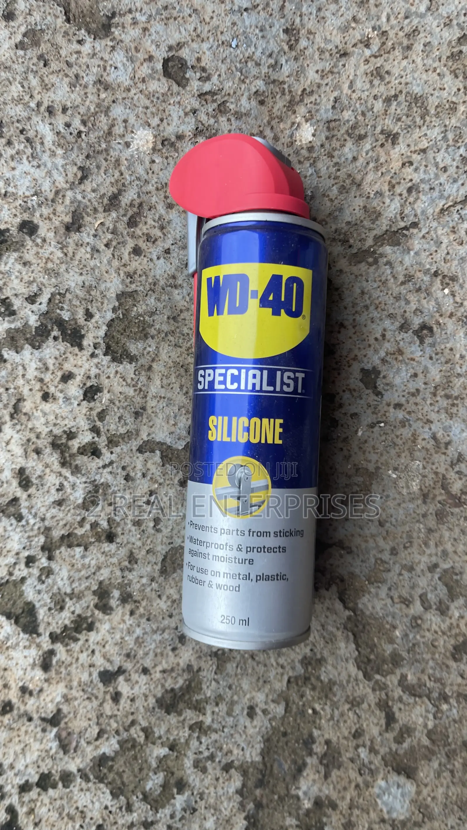 WD-40 Specialist Silicone Spray (250 Ml)