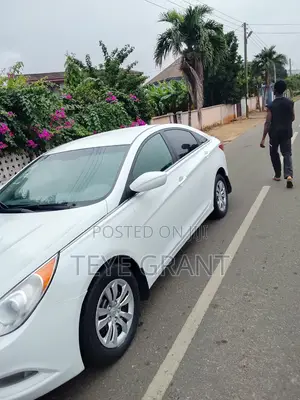 Hyundai Sonata 2013 White