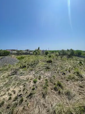 Best Offers on Beach Lands