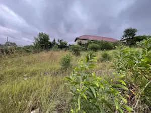 One Acre of Titled Land for Sale Ghc400K Per Plot