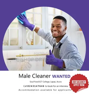 Male Cleaner