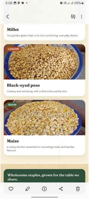 Staple Foodstuffs