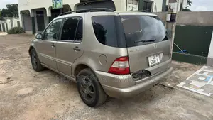 Mercedes-Benz M Class ML 320 2003 Gray