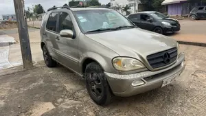 Mercedes-Benz M Class ML 320 2003 Gray