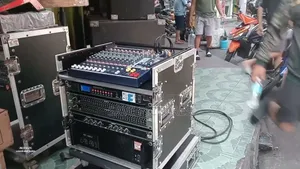 Crown Line Array Speaker From Germany