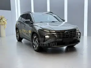 Hyundai Tucson 2022 Gray