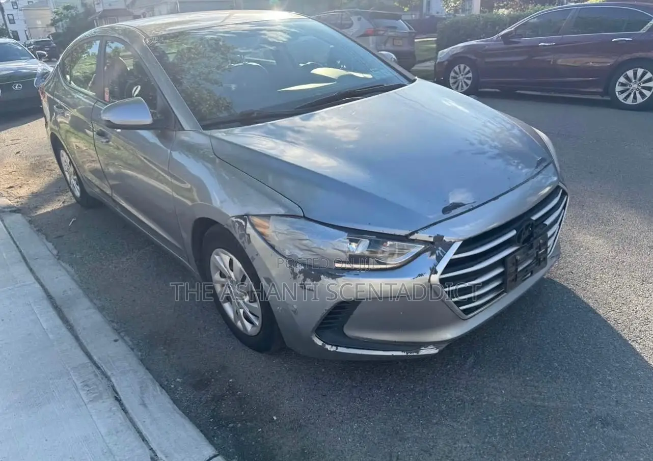 Hyundai Elantra 2017 Silver