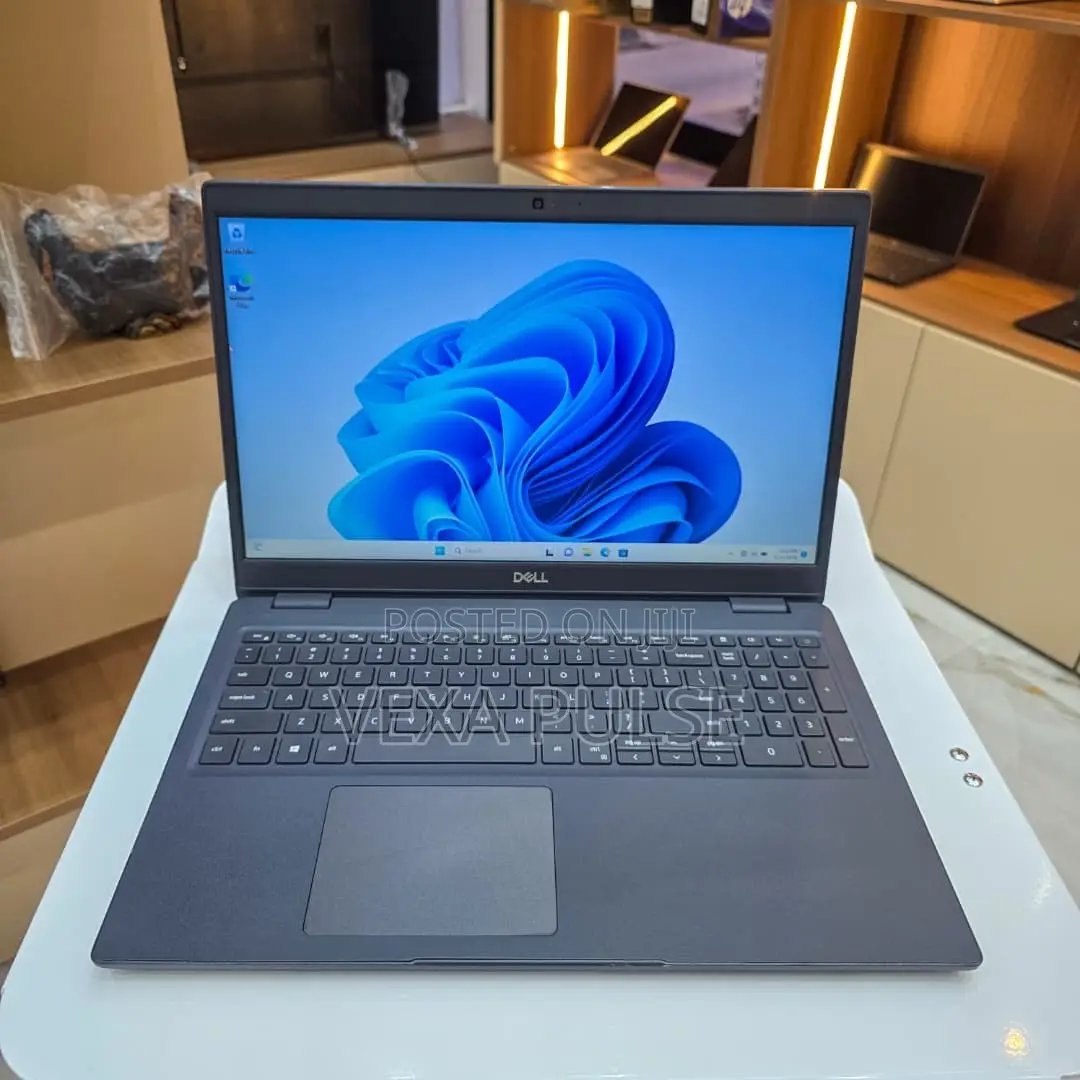 Laptop Dell Latitude 3510 8GB Intel Core i5 HDD 500GB