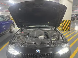 BMW 320i Sedan RWD 2017 Black