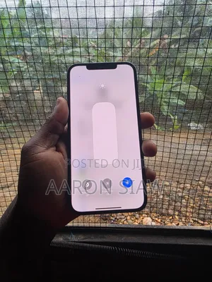 Apple iPhone 12 Pro Max 256 GB