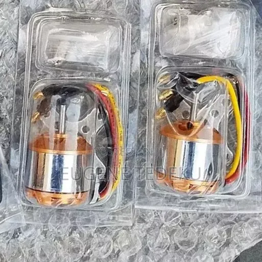 Brashless Motor
