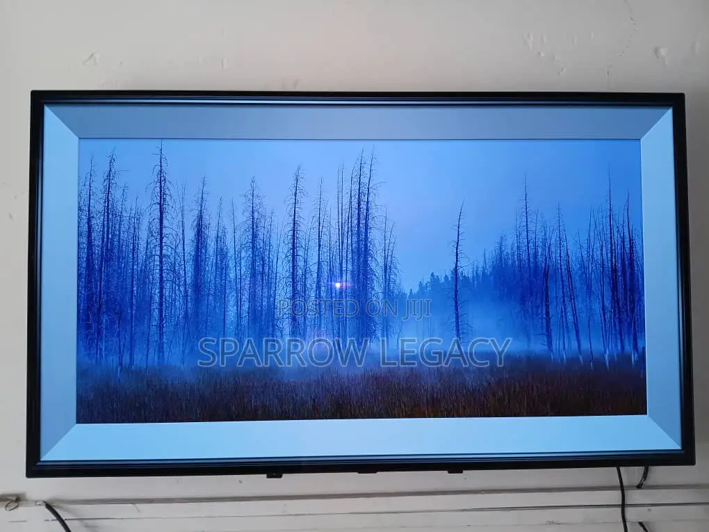 Brand New LG 48 Inch OLED Smart TV
