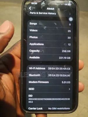 Apple iPhone 13 Pro Max 256 GB Gray