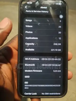 Apple iPhone 13 Pro Max 256 GB Gray