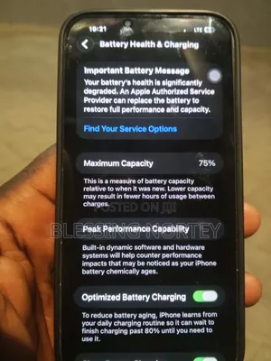 Apple iPhone 13 Pro Max 256 GB Gray