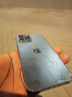 Apple iPhone 13 Pro Max 256 GB Gray