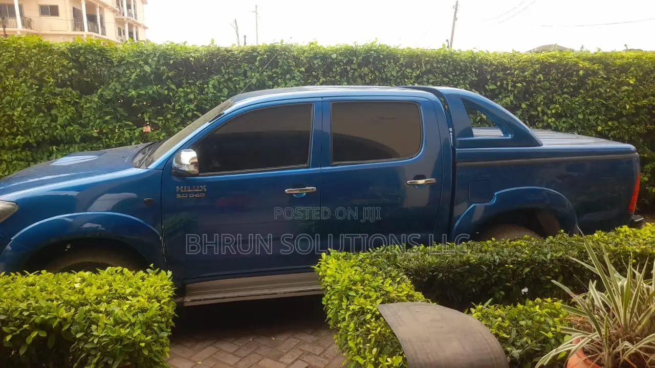 Toyota Hilux 3.0 D-4D Double Cab 2008 Blue