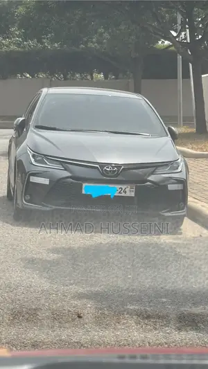 Toyota Corolla LE 2024 Gray