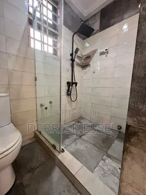 1bdrm Apartment in Kojo_Realestate, Tseaddo for rent