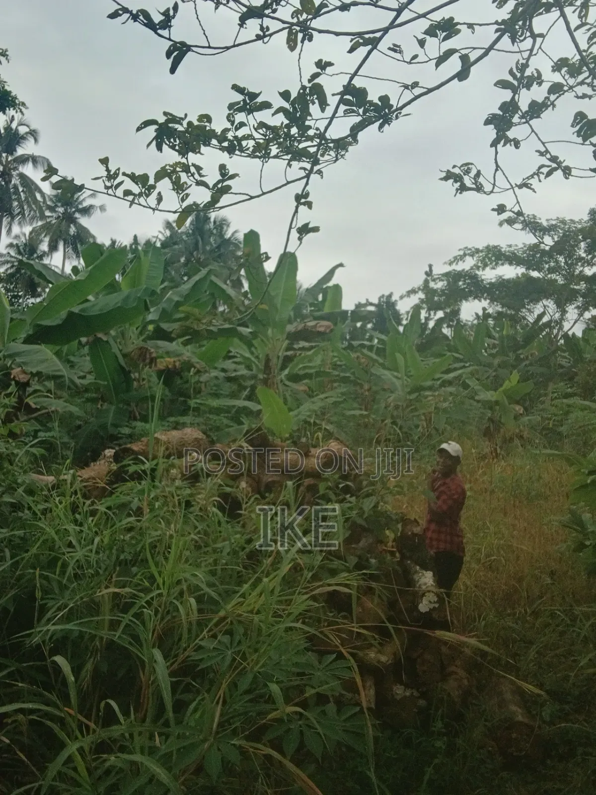 Two Plots of Land for Sale