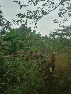 Two Plots of Land for Sale