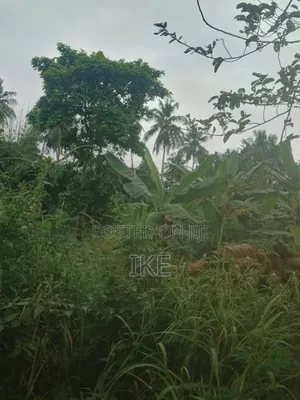 Two Plots of Land for Sale