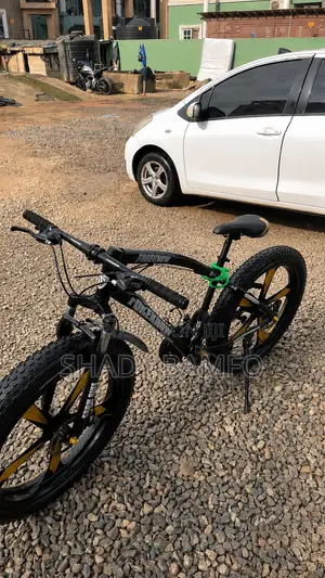 Fat Tyre Bicycle