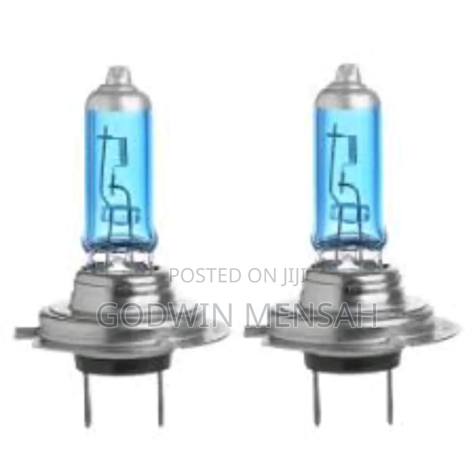 Halogen Bulb