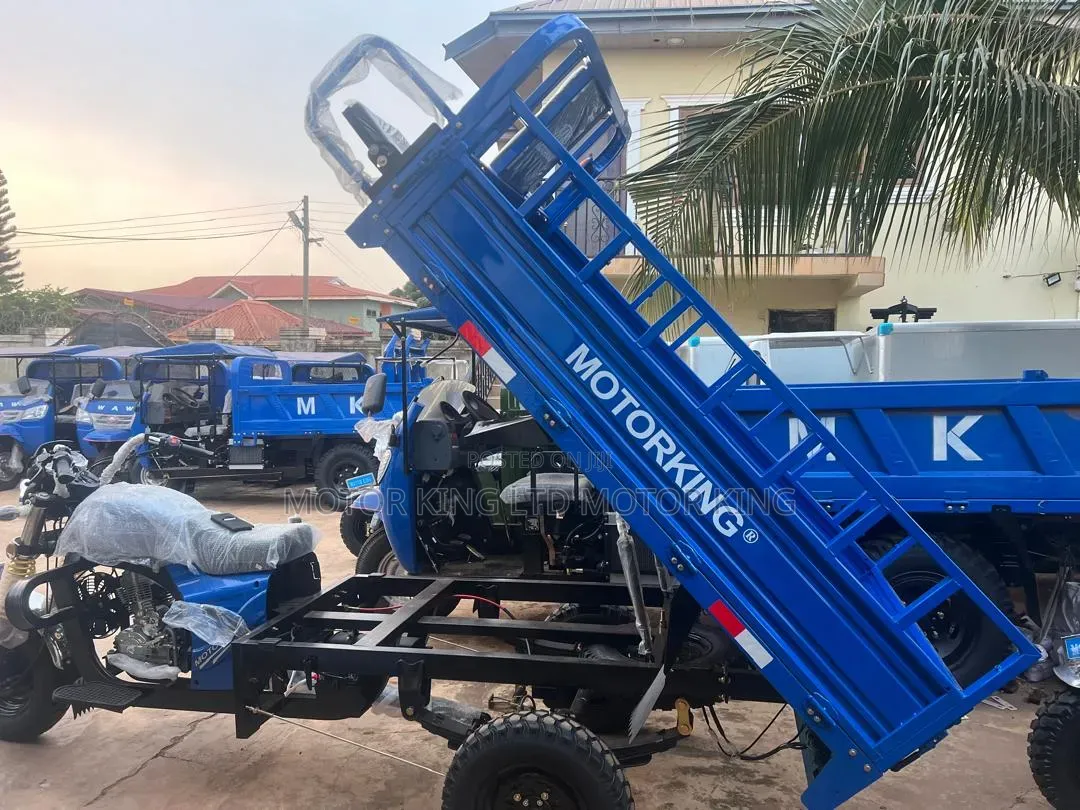 New Tricycle 2025 Blue