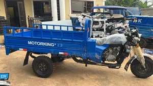 New Tricycle 2025 Blue