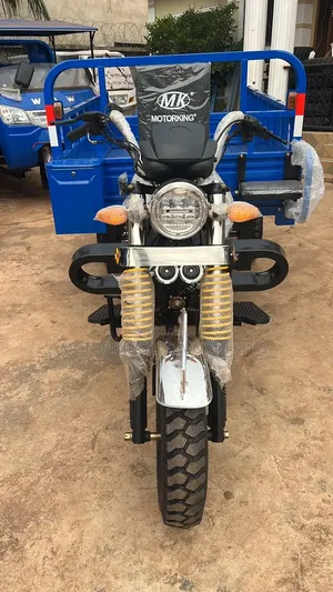 New Tricycle 2025 Blue