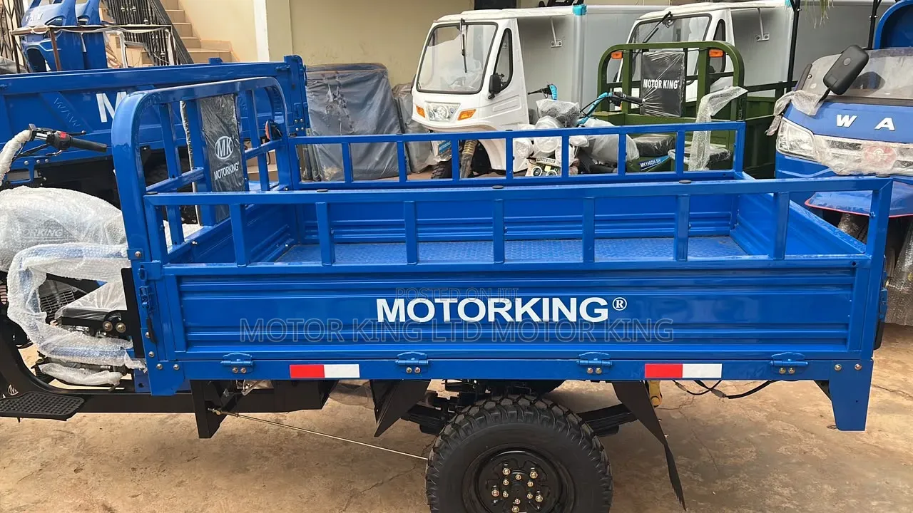 New Tricycle 2025 Blue